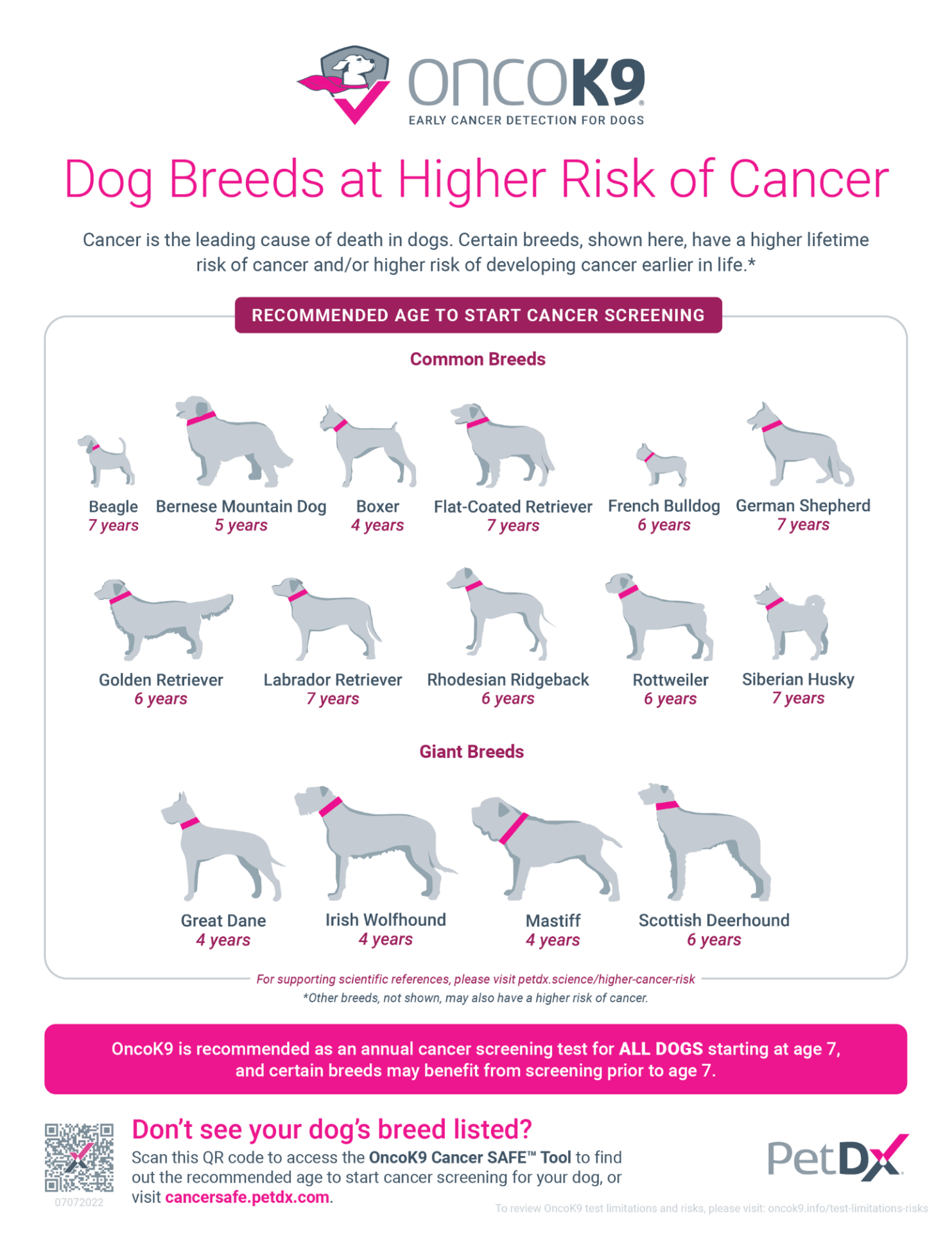 Dog Cancer - Understanding Cancer Diagnosis and Treatment in Dogs ...
